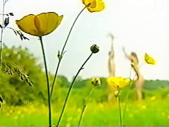 Sofie graaboel hippie nude scenes