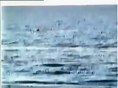 Incredible Webcams, Beach porn movie