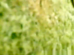 Voyeur in pool cabin secretly films woman