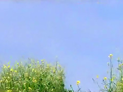 Hottest Outdoor, Retro sex clip