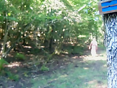 balade dans les bois