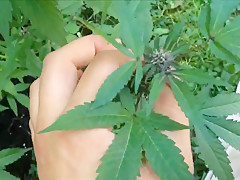 CUTE BLONDE POV BLOWJOB IN THE GARDEN
