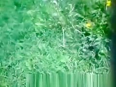 Woman sunbathing topless in grass