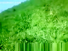 Woman sunbathing topless in grass