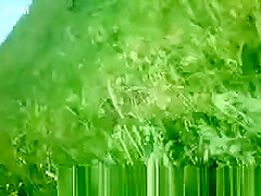 Woman sunbathing topless in grass