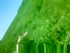 Woman sunbathing topless in grass