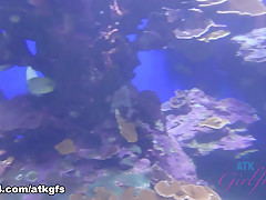 Haley Reed in The Aquarium Is Fun When You're Holding Haley's Hand - ATKGirlfriends
