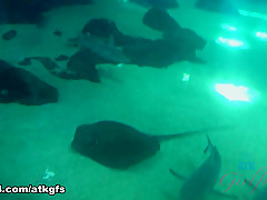 Haley Reed in The Aquarium Is Fun When You're Holding Haley's Hand - ATKGirlfriends