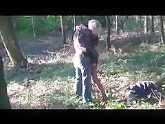 Fick im Wald