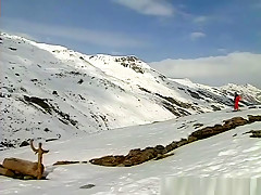 Incredible pornstar Patricia Diamond in fabulous anal, blonde porn video