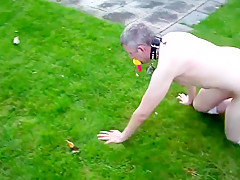 Hundeerziehung im garten