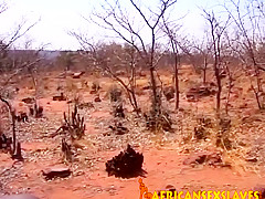 Handle my throbbing monster you filthy slut