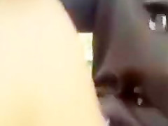 Order of master need i go out make exhibit