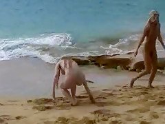 Fabulous homemade Beach, Babes adult video