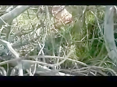 Kneeling... my thighs spread for him