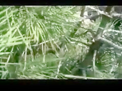 Kneeling... my thighs spread for him