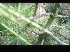 Kneeling... my thighs spread for him