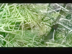 Kneeling... my thighs spread for him