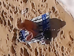 voyeur a la plage