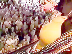 Mardi gras party girl