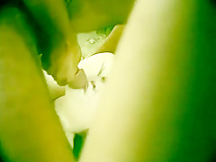 Fabulous pornstar in amazing bbw, fetish sex video