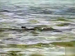 Fishing fans have sex in shallow river water