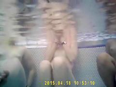 Three fillies enjoy the warm water in the sauna pool