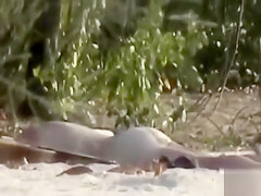 Drunk girl sunbathes completely naked