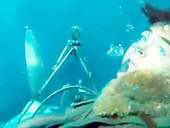 Gal gadot  wonder woman