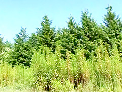 Fabulous homemade Doggy Style, Outdoor sex video