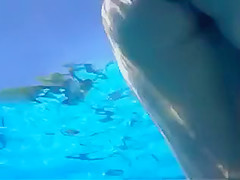 Playgirl tugs on a friend's dick in the pool