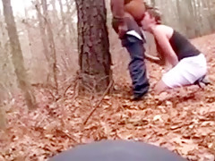 Throat - in the forest