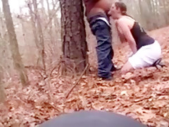 Throat - in the forest