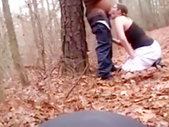 Throat - in the forest