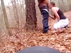 Throat - in the forest