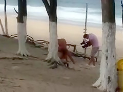 I caught two people copulating at the nearby beach