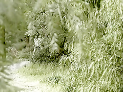 Best pornstar Stephanie Swift in horny blowjob, outdoor sex scene