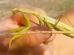 Jordanne agrees on sex