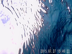 Gorgeous babes fool around with their men in the pool