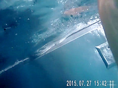 Gorgeous babes fool around with their men in the pool