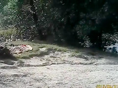 Sunny day at the nudist camp by the river