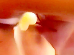 Best pornstars Teanna Kai and Karlie Montana in amazing interracial, asian xxx clip