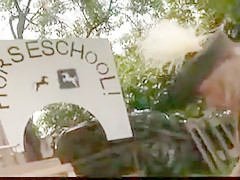 Der geile reitlehrer