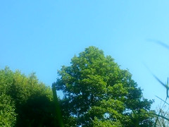 Russian mature nudists expose their private parts