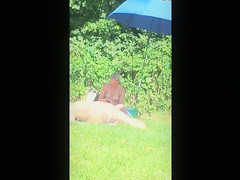 Russian mature nudists expose their private parts