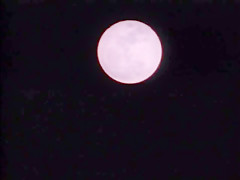 Ready To Ride - Penthouse