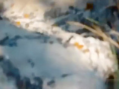 I caught a nudist girl stimulating her sensitive clitoris on the beach