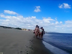 Group of mature mommies and daddies enjoy the nudist beach