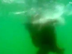 My girlfriend's pussy cheats on me underwater