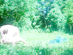 The forest was green